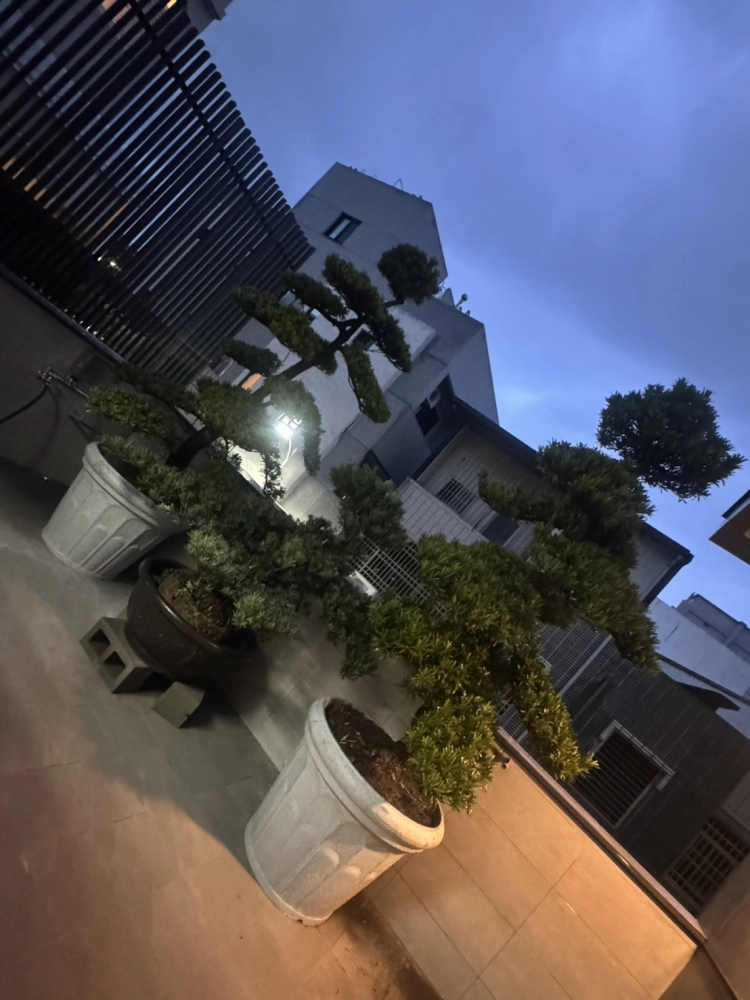 客製化種植圖片分享