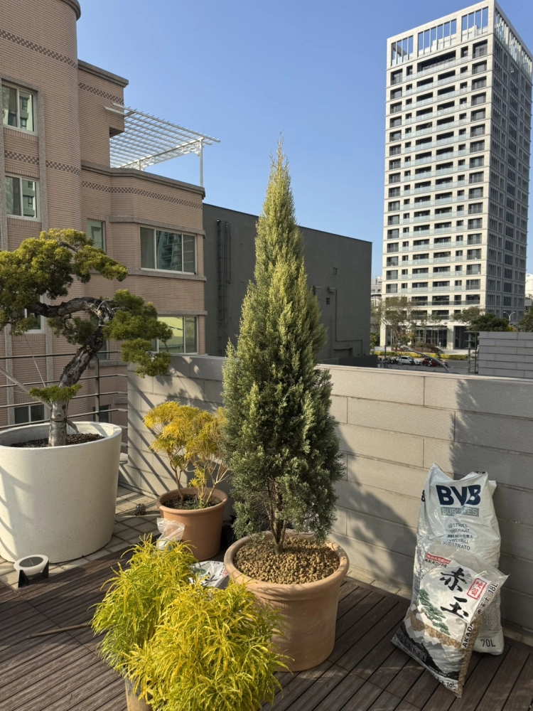 客製化種植圖片分享