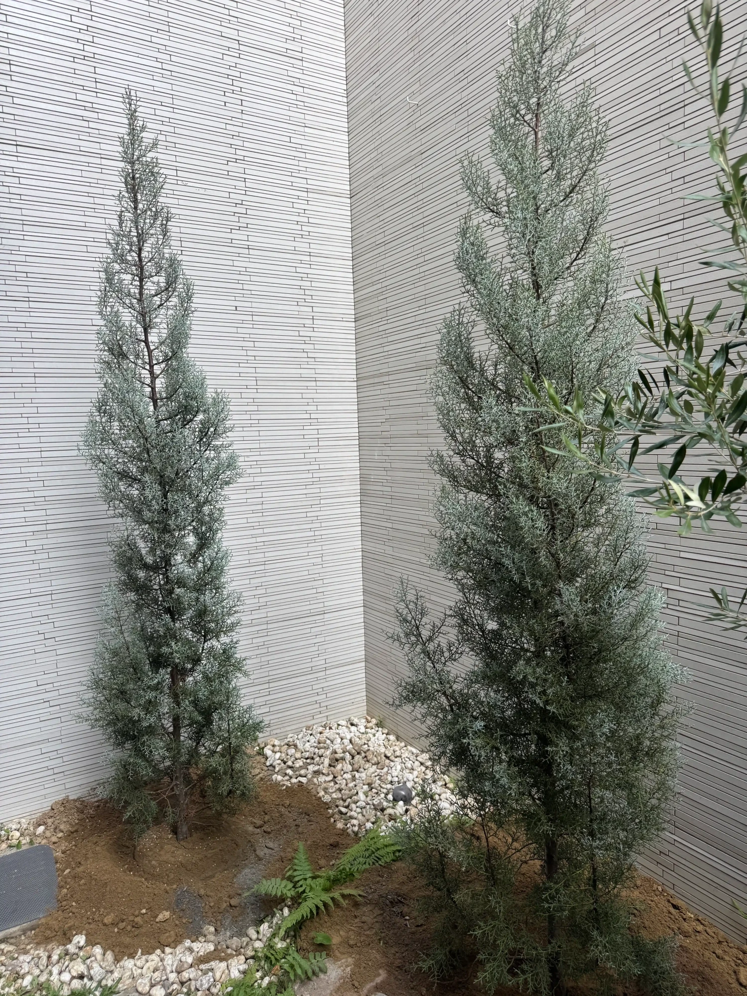 客製化種植圖片分享