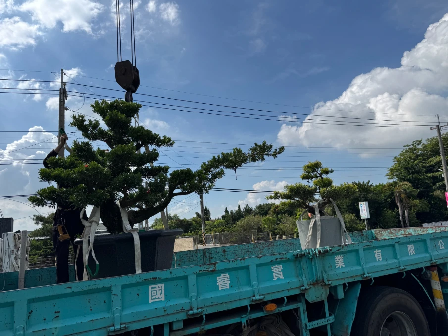 客製化種植圖片分享