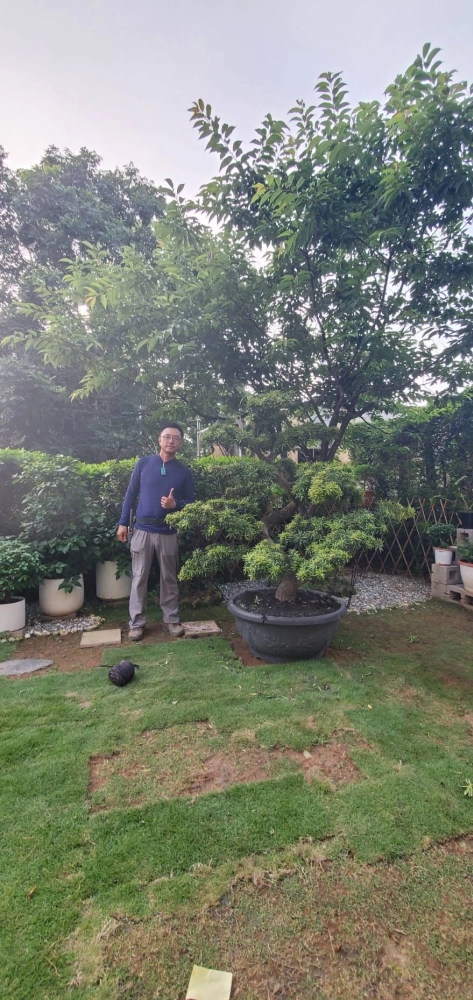 客製化種植圖片分享