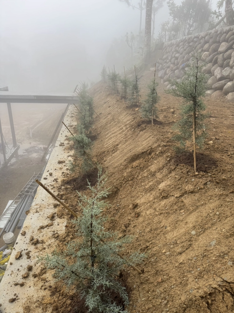 客製化種植圖片分享