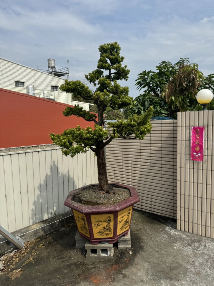 客製化種植圖片分享