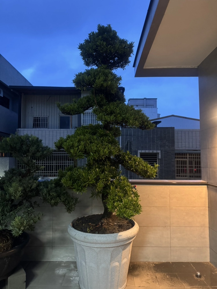 客製化種植圖片分享