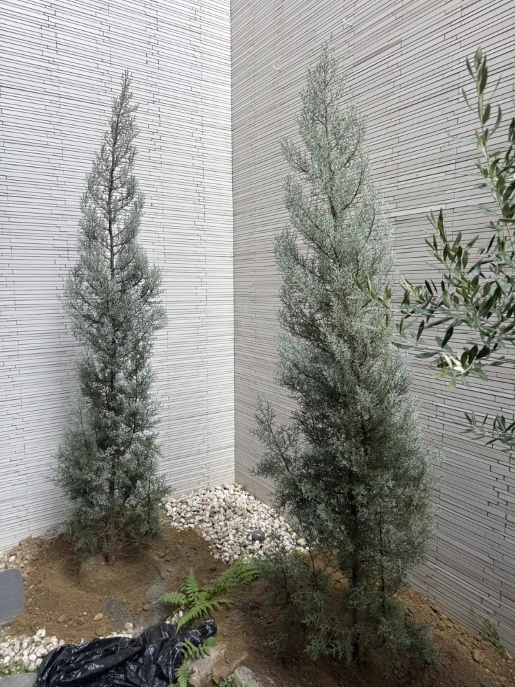 客製化種植圖片分享