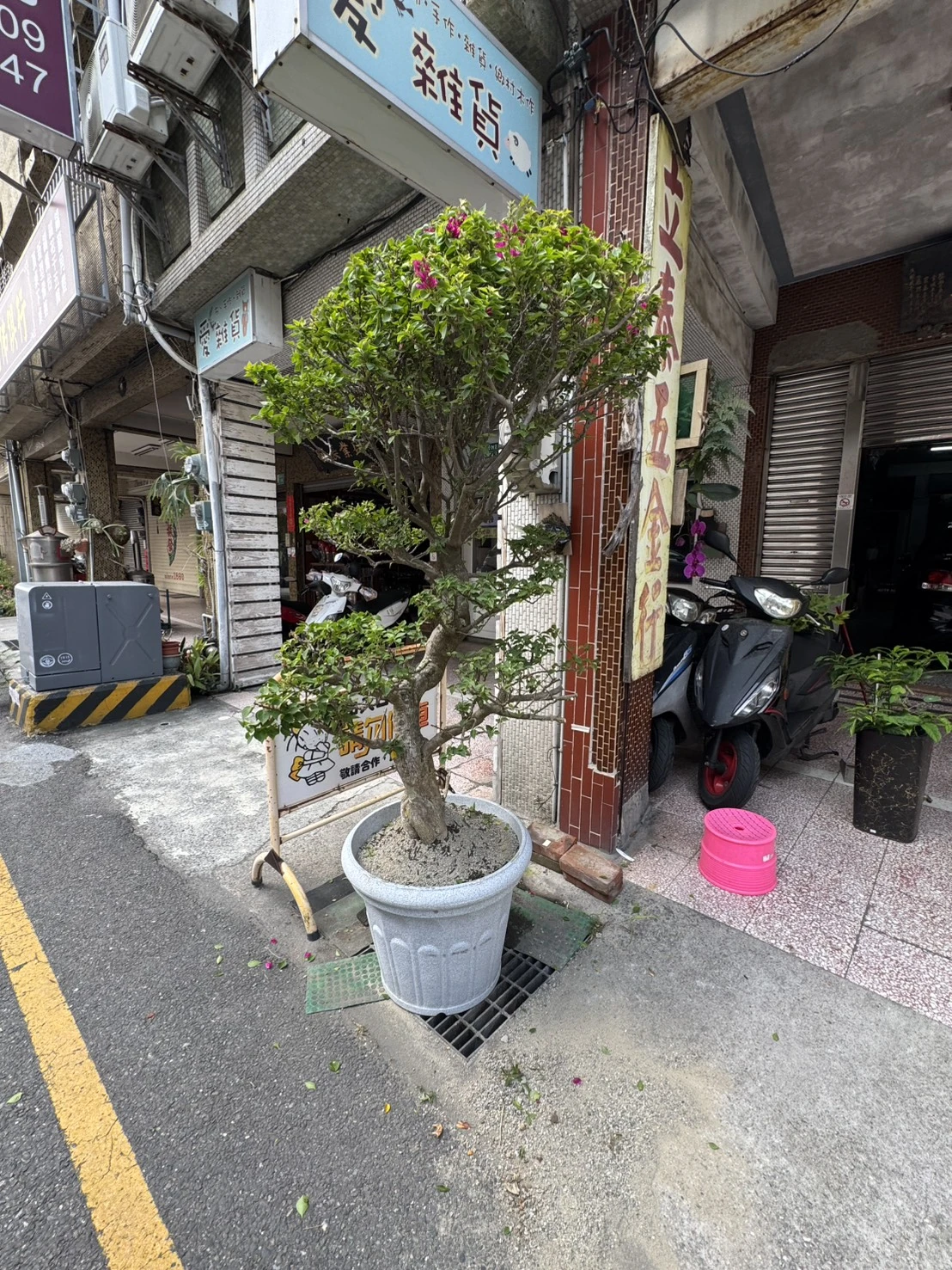 客製化種植圖片分享