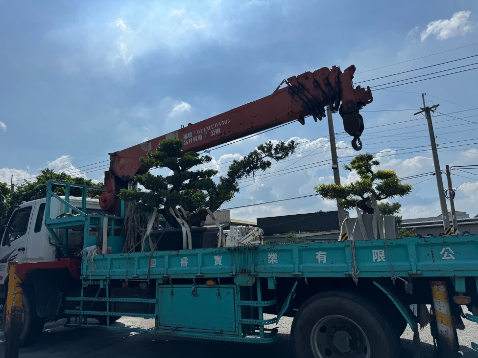 客製化種植圖片分享