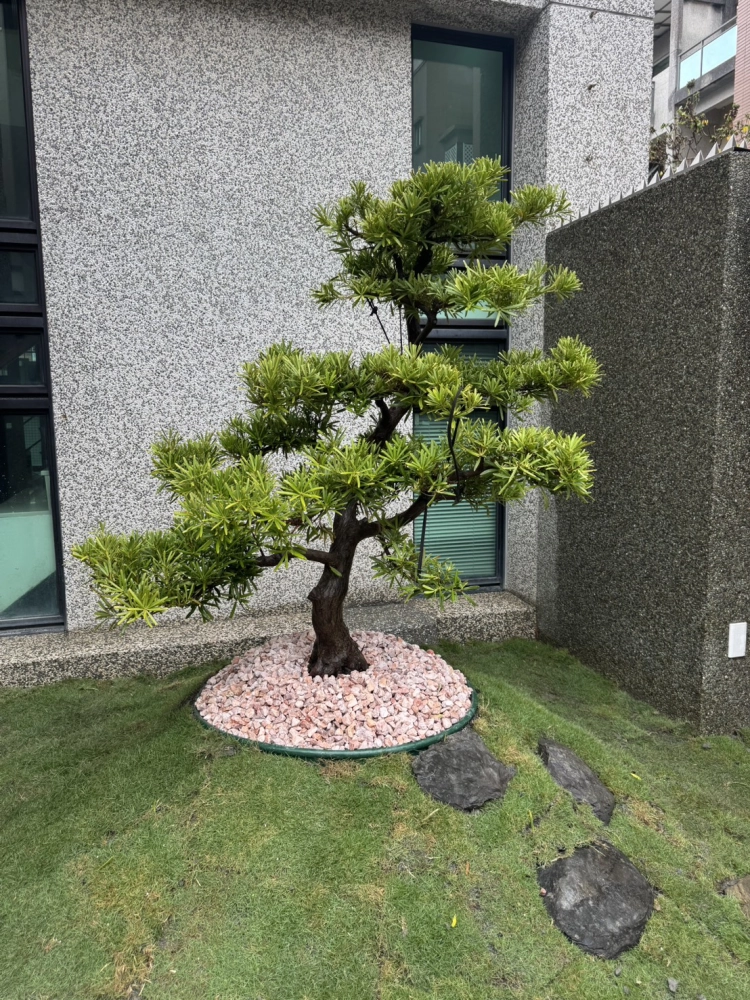 客製化種植圖片分享