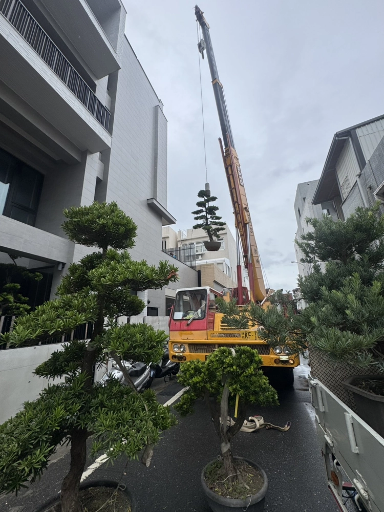 客製化種植圖片分享
