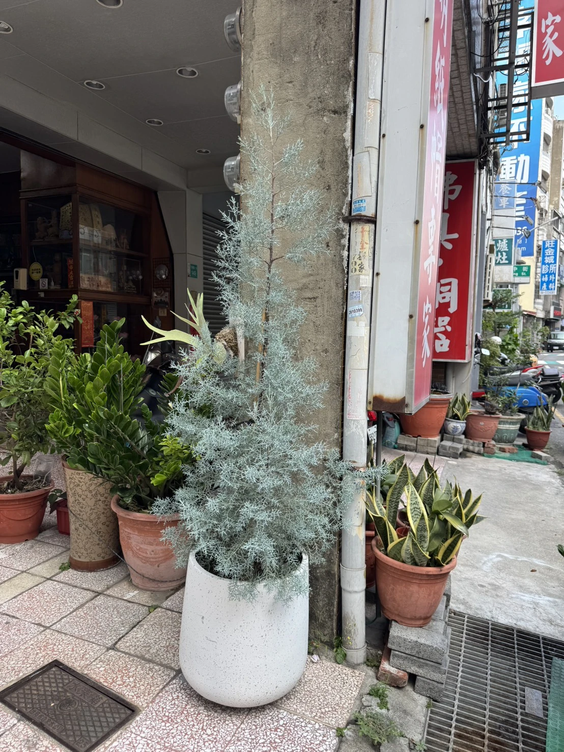 客製化種植圖片分享