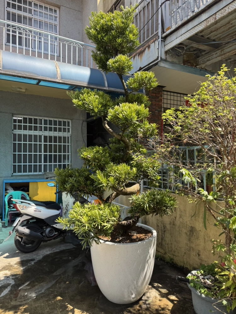 客製化種植圖片分享