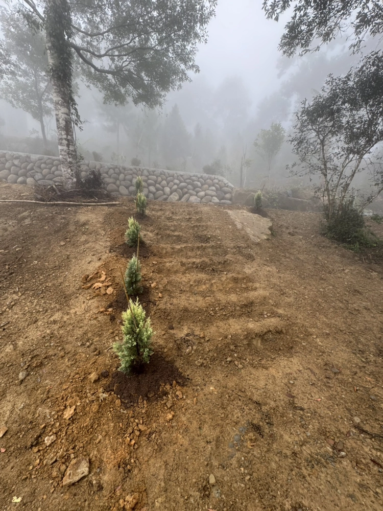 客製化種植圖片分享