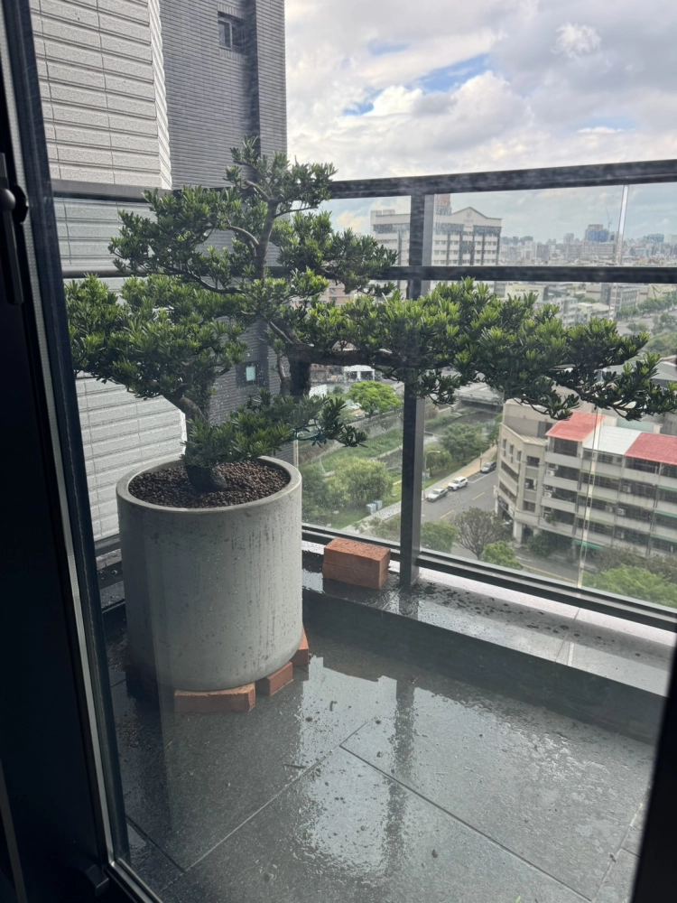 客製化種植圖片分享