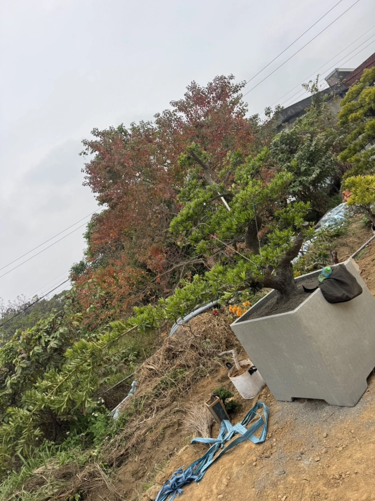 客製化種植圖片分享