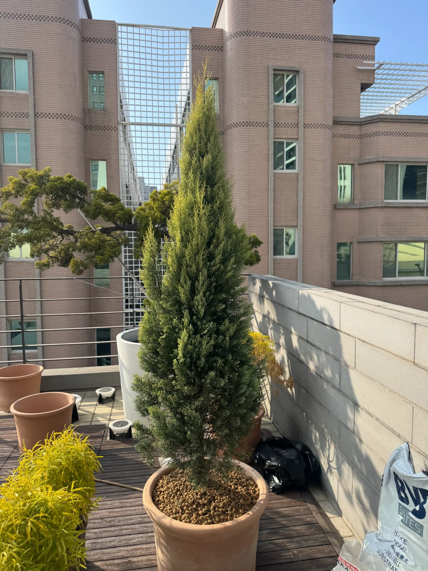客製化種植圖片分享