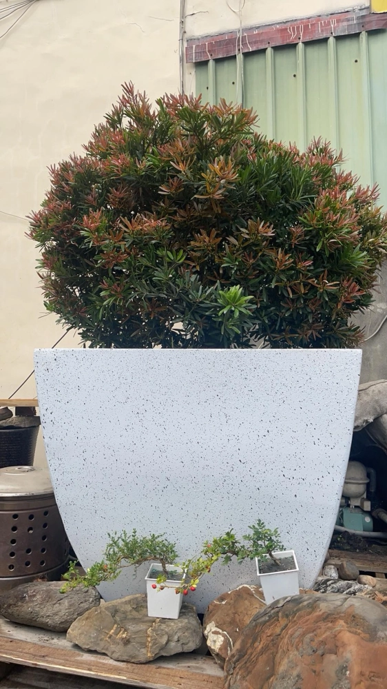 客製化種植圖片分享