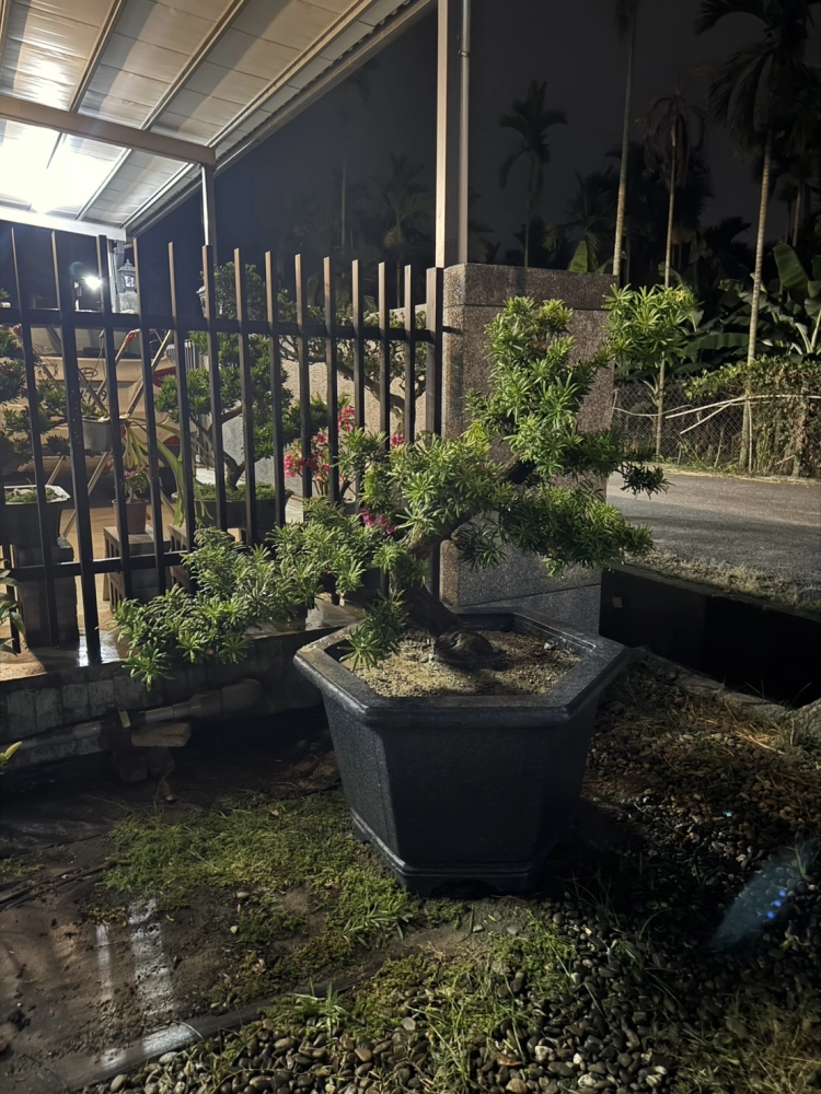 客製化種植圖片分享