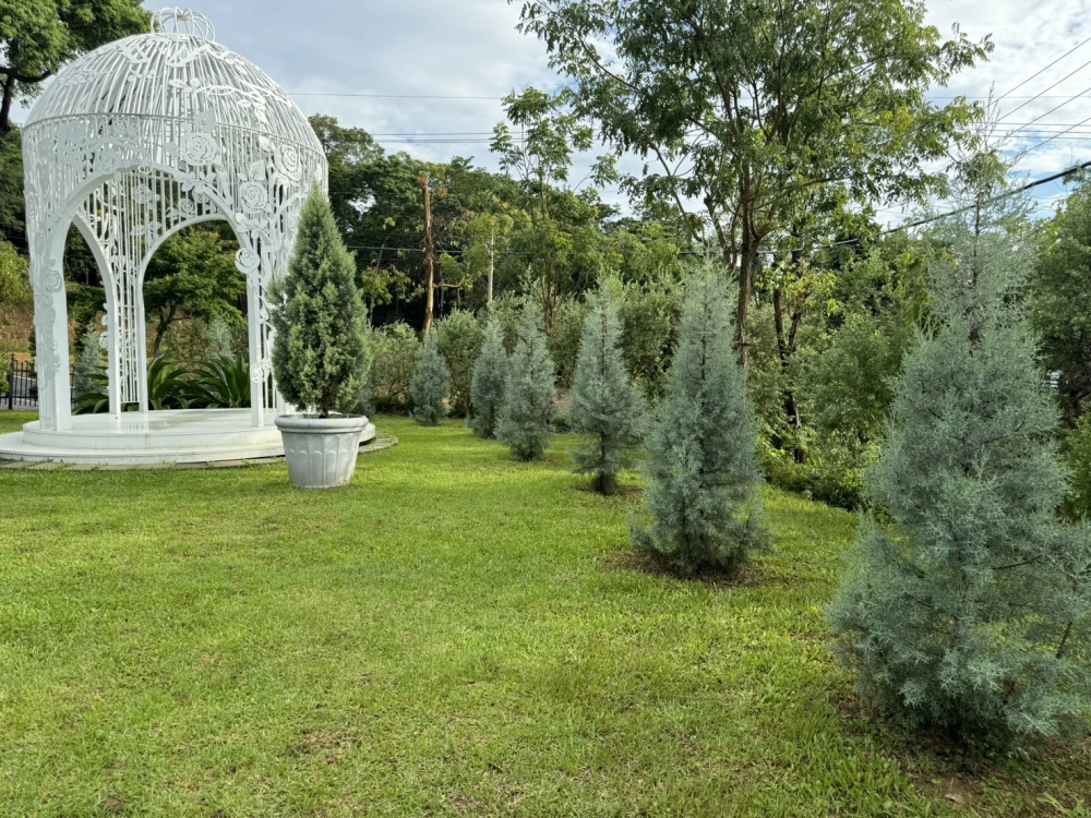 客製化種植圖片分享