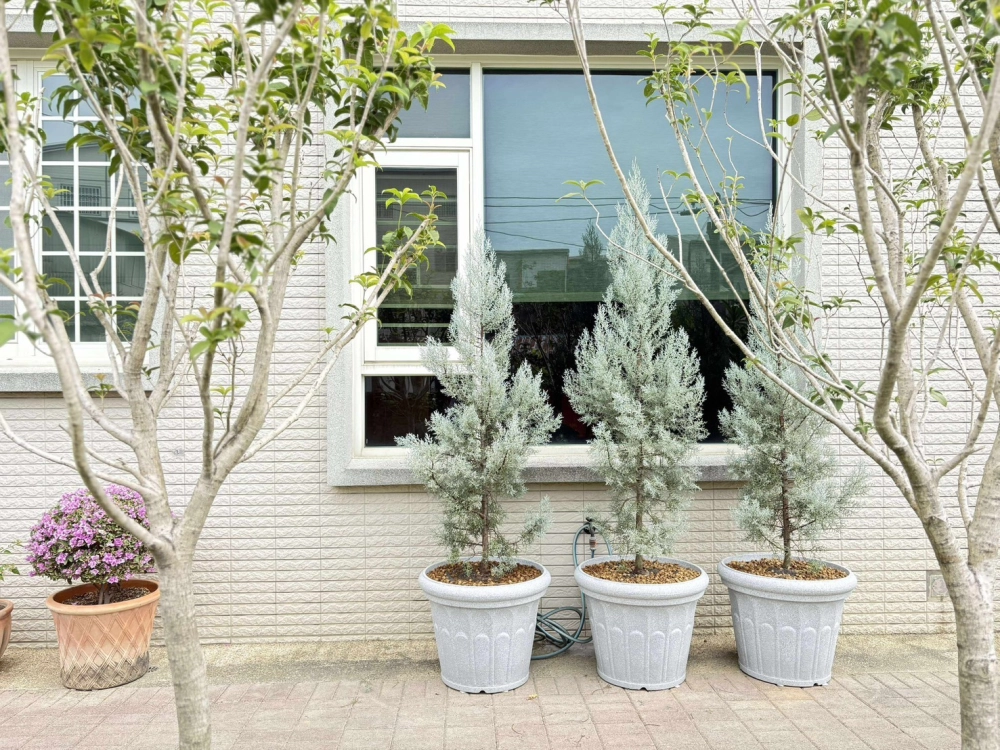 客製化種植圖片分享