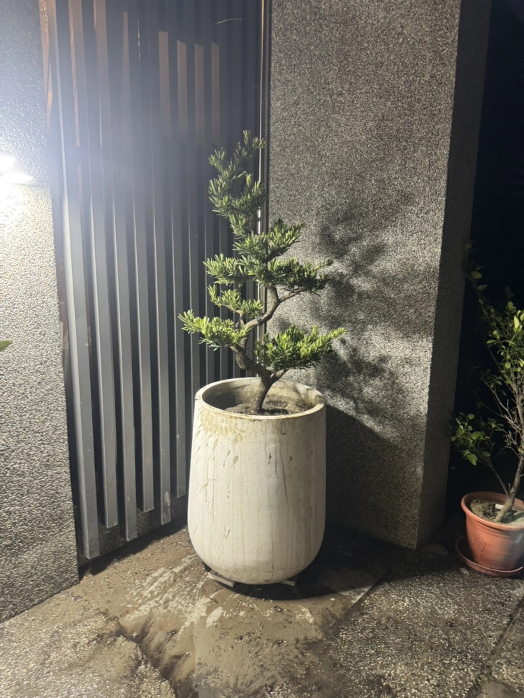 客製化種植圖片分享