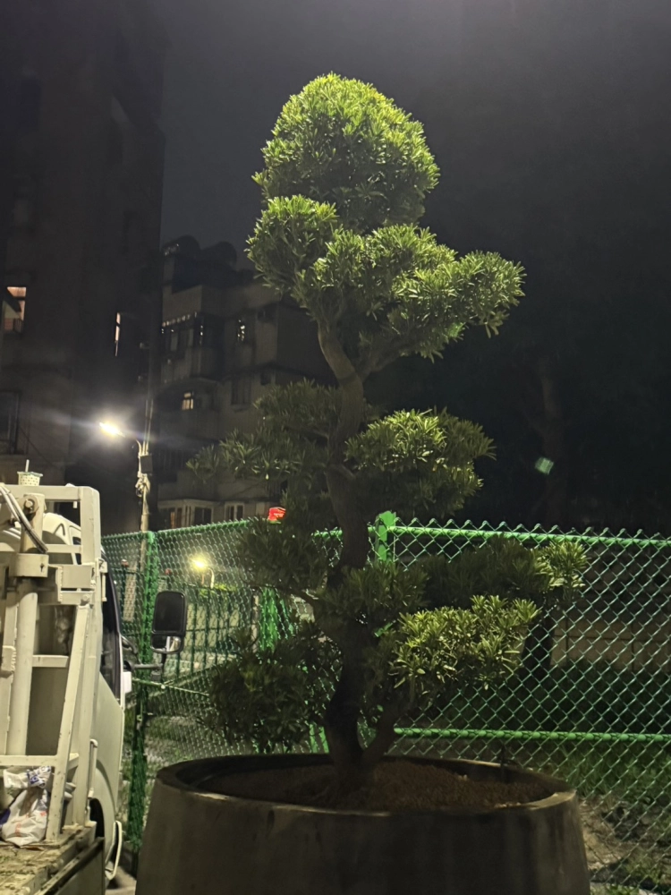 客製化種植圖片分享