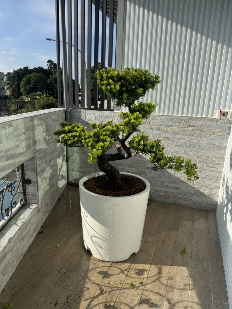客製化種植圖片分享