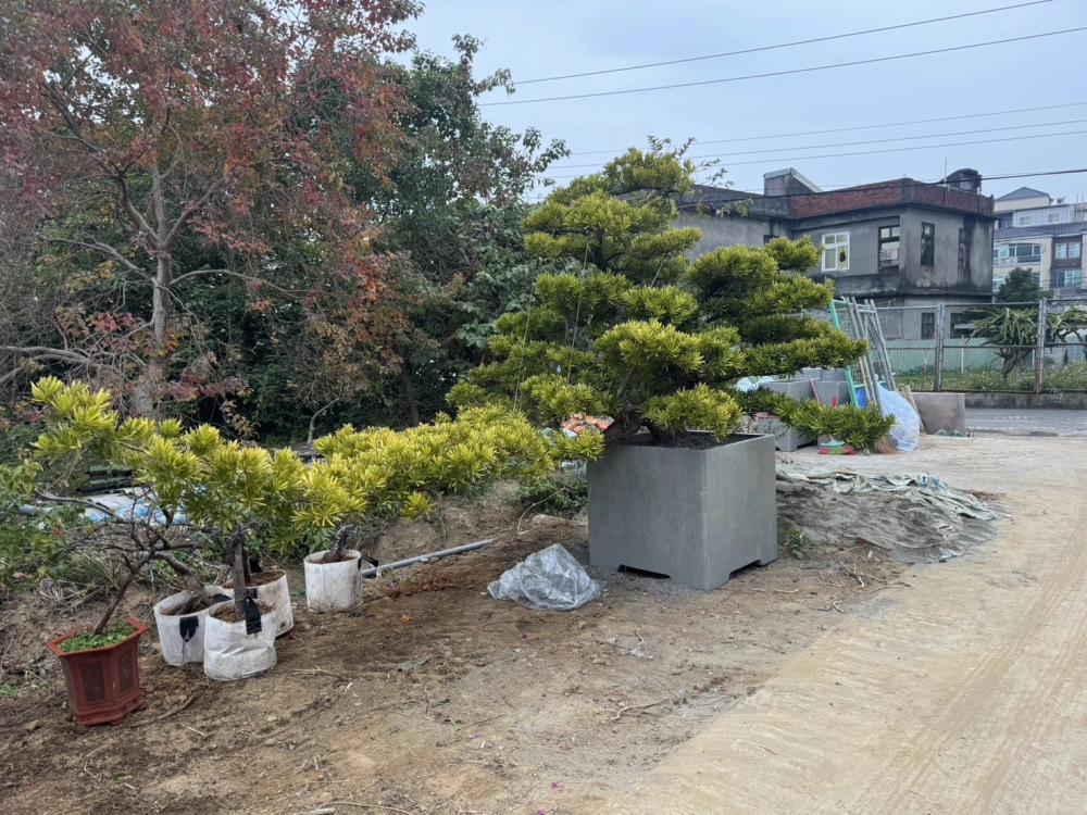 客製化種植圖片分享