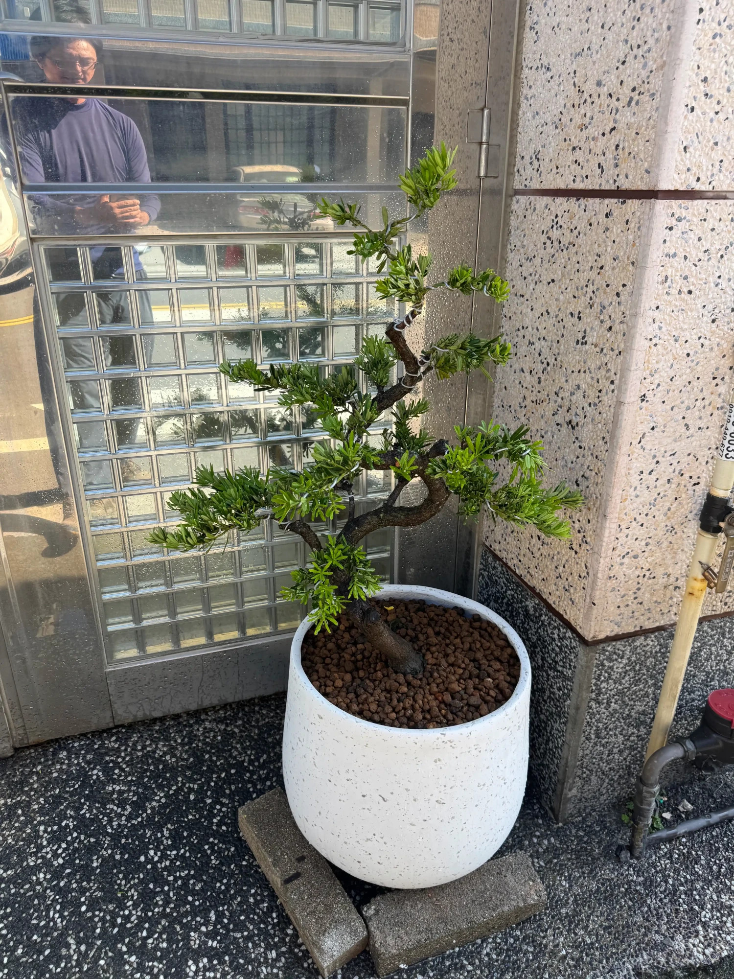 客製化種植圖片分享