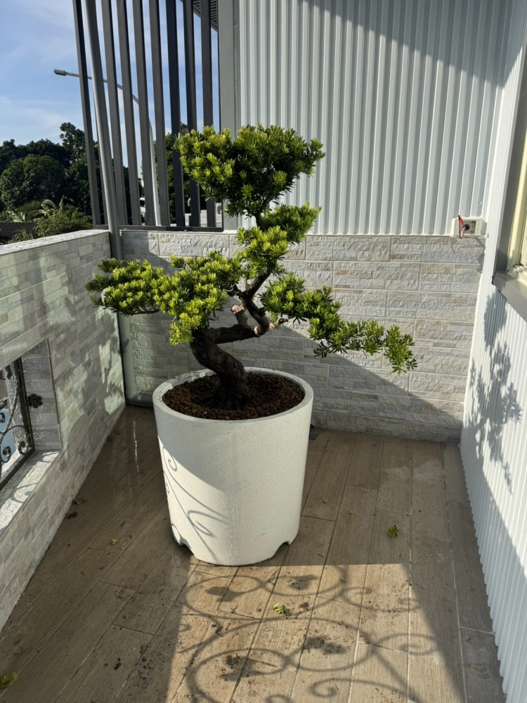 客製化種植圖片分享