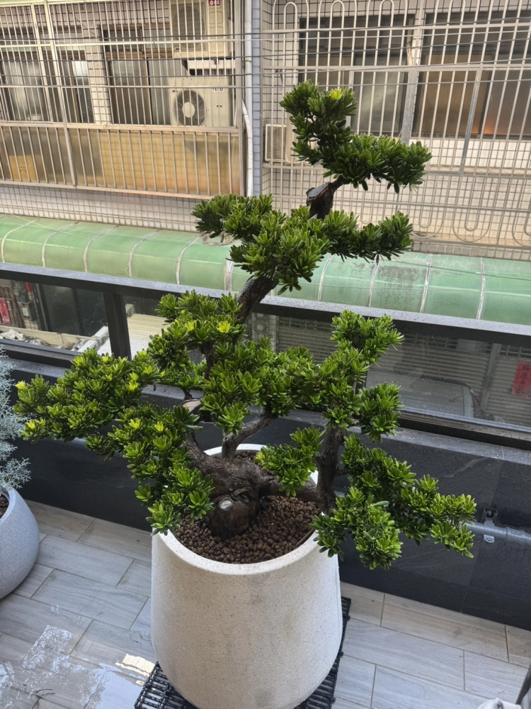 客製化種植圖片分享