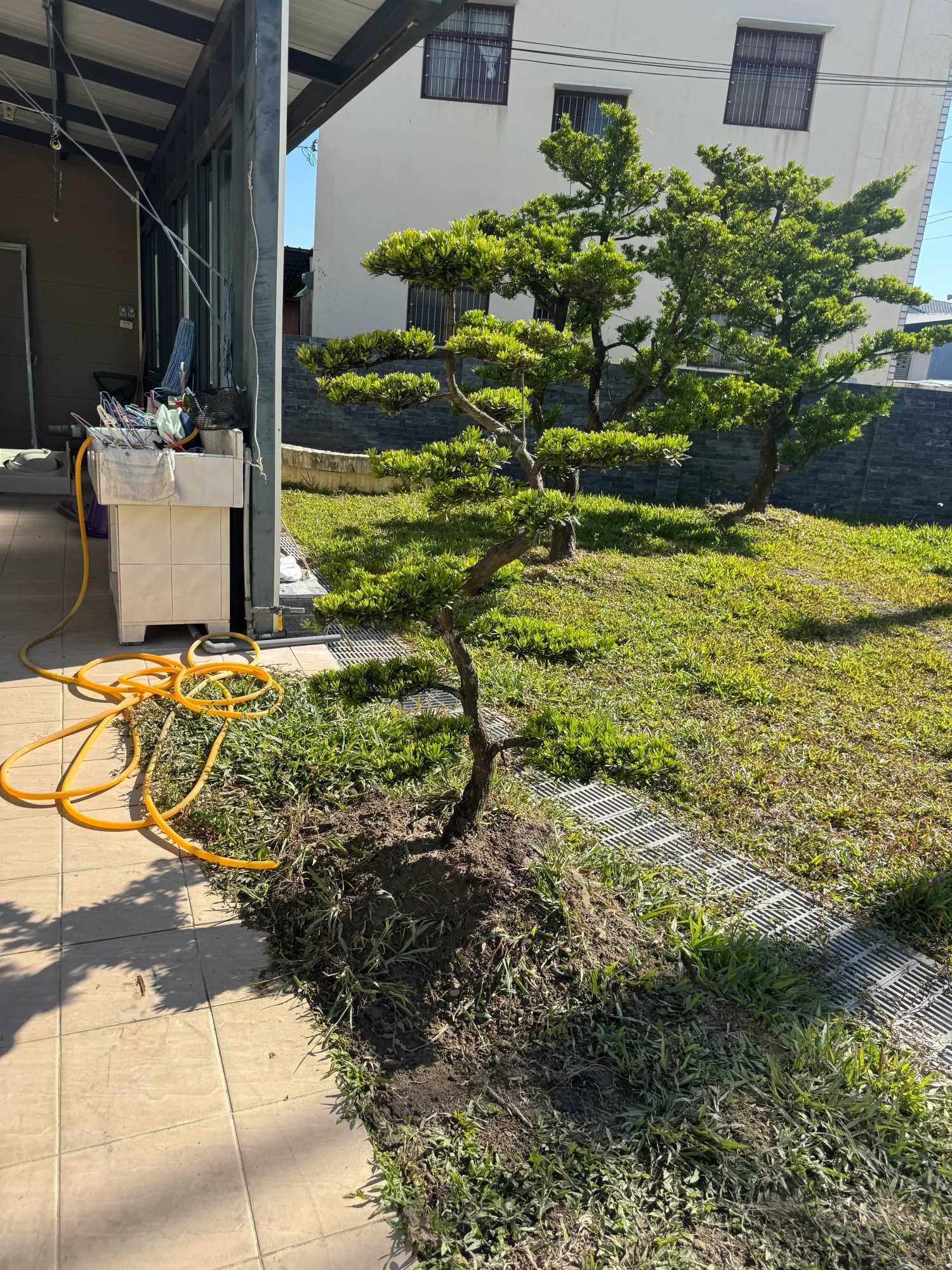 客製化種植圖片分享