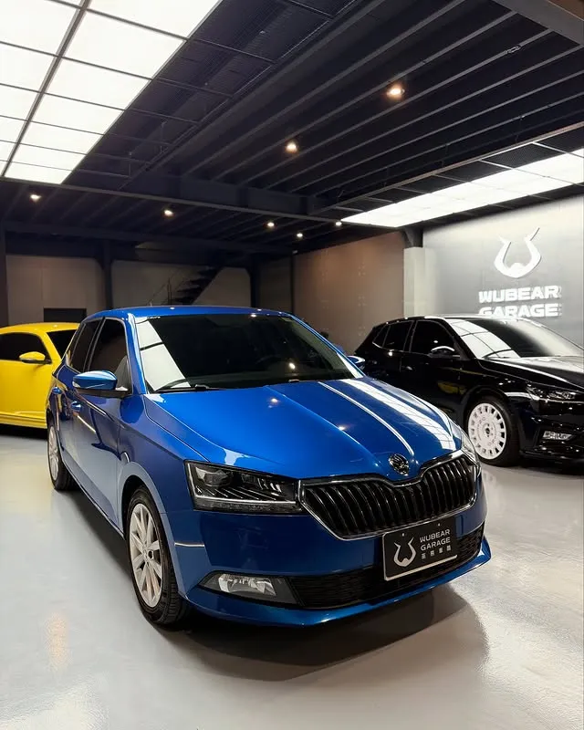 FABIA 1.0 魅力版版 MK3.5