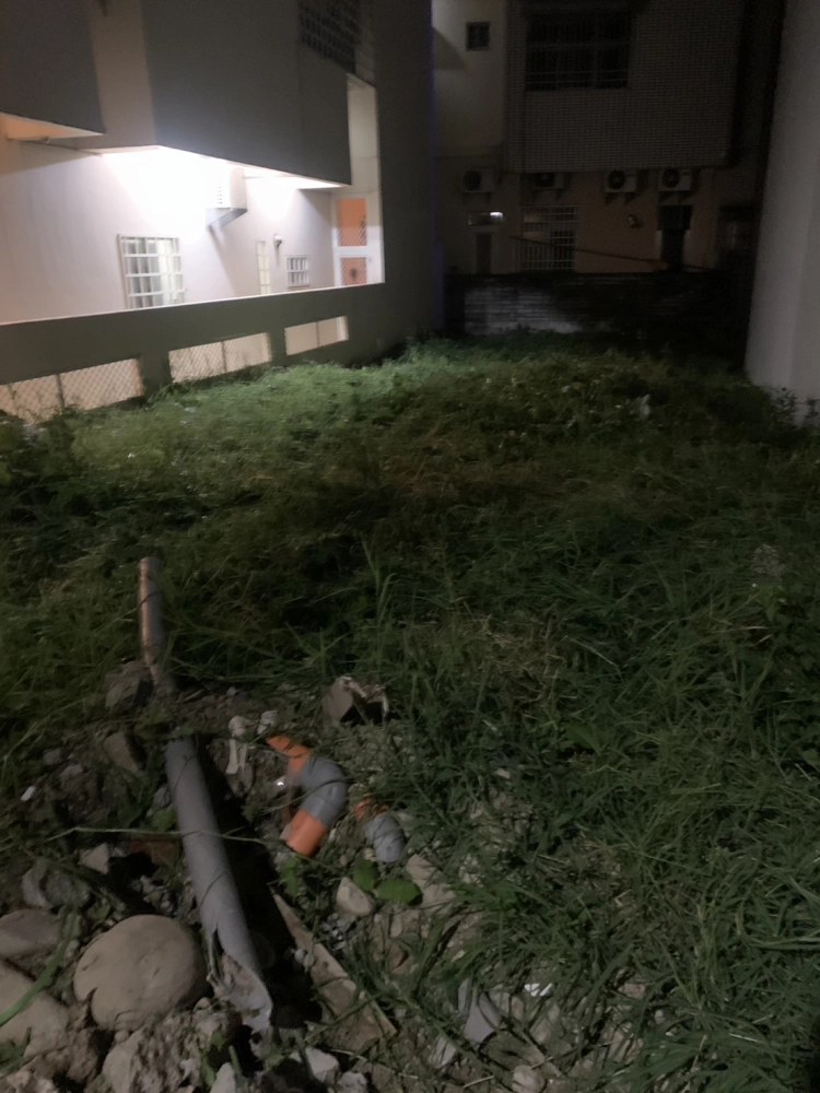 北屯區景賢路空地芒草打除