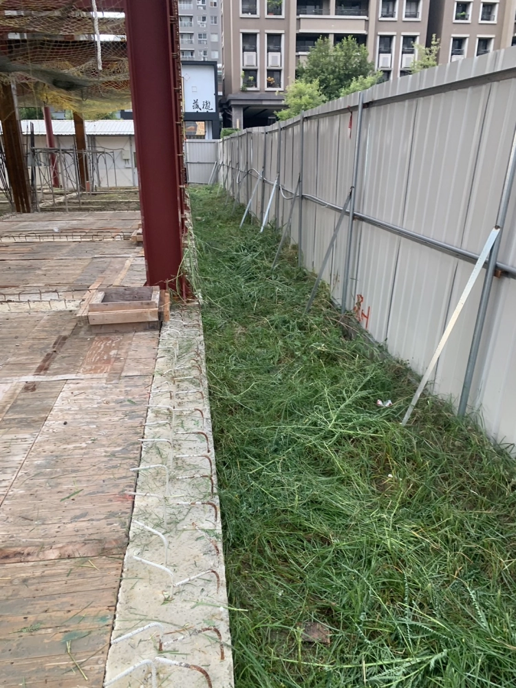 南屯區文心南七路 營造建設空地除草