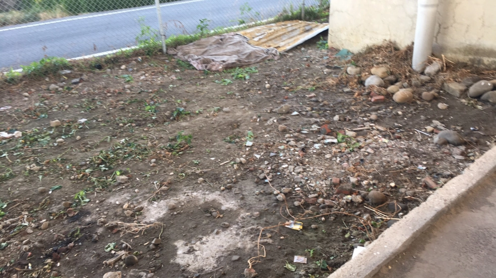 國光客運總站停車場雜草處理