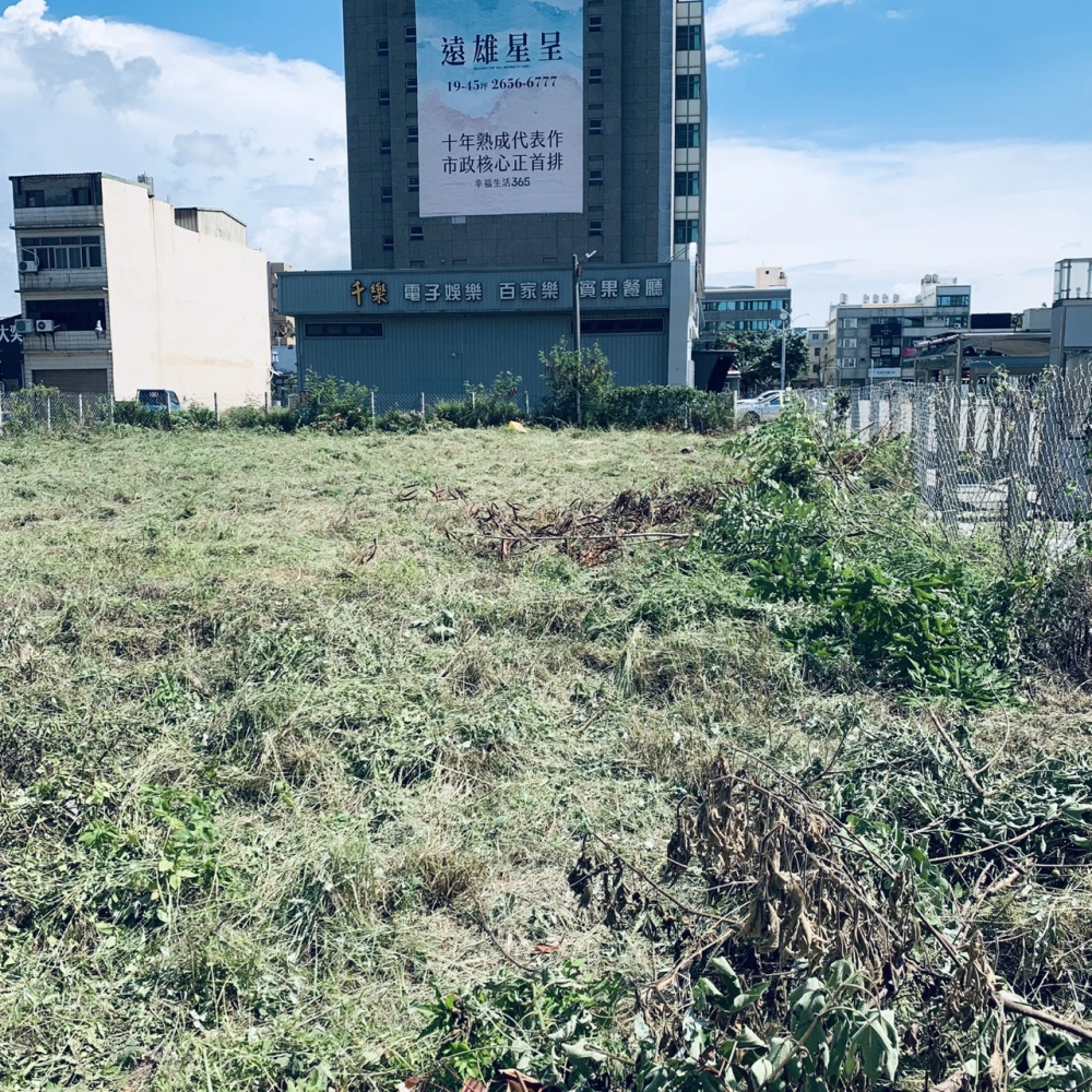 梧棲四維路空地｜雜草處理