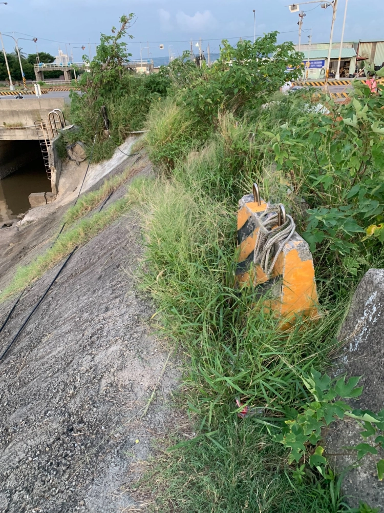 梧棲港埠路二段 空地除草