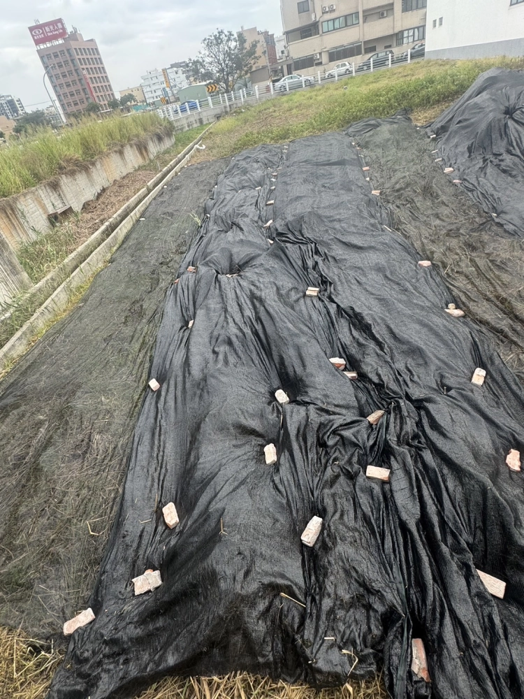 清水忠孝路 整地除草 蓋黑網