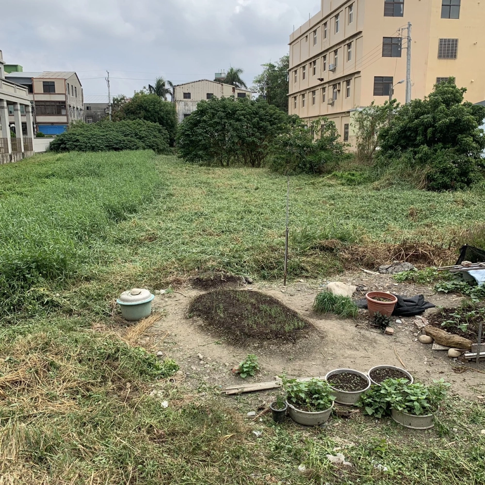 港埠路400坪空地除草
