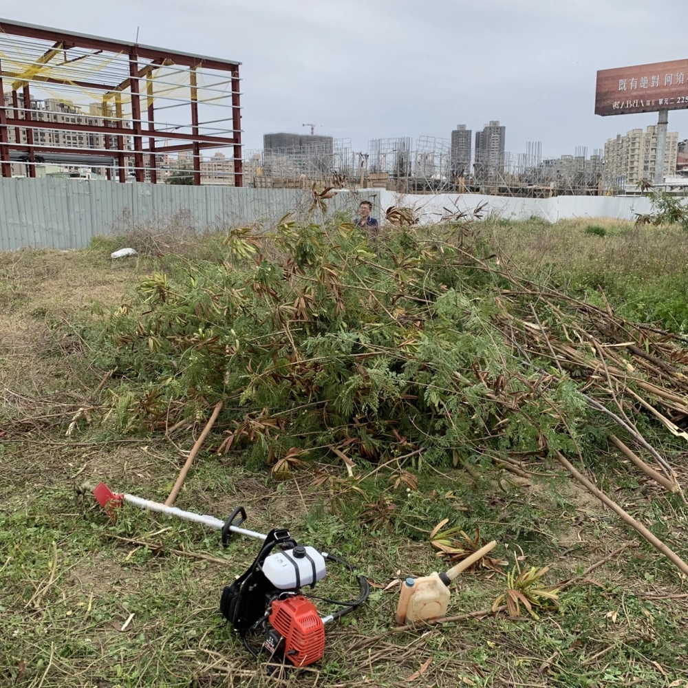 慶順三街空地雜芒草打除