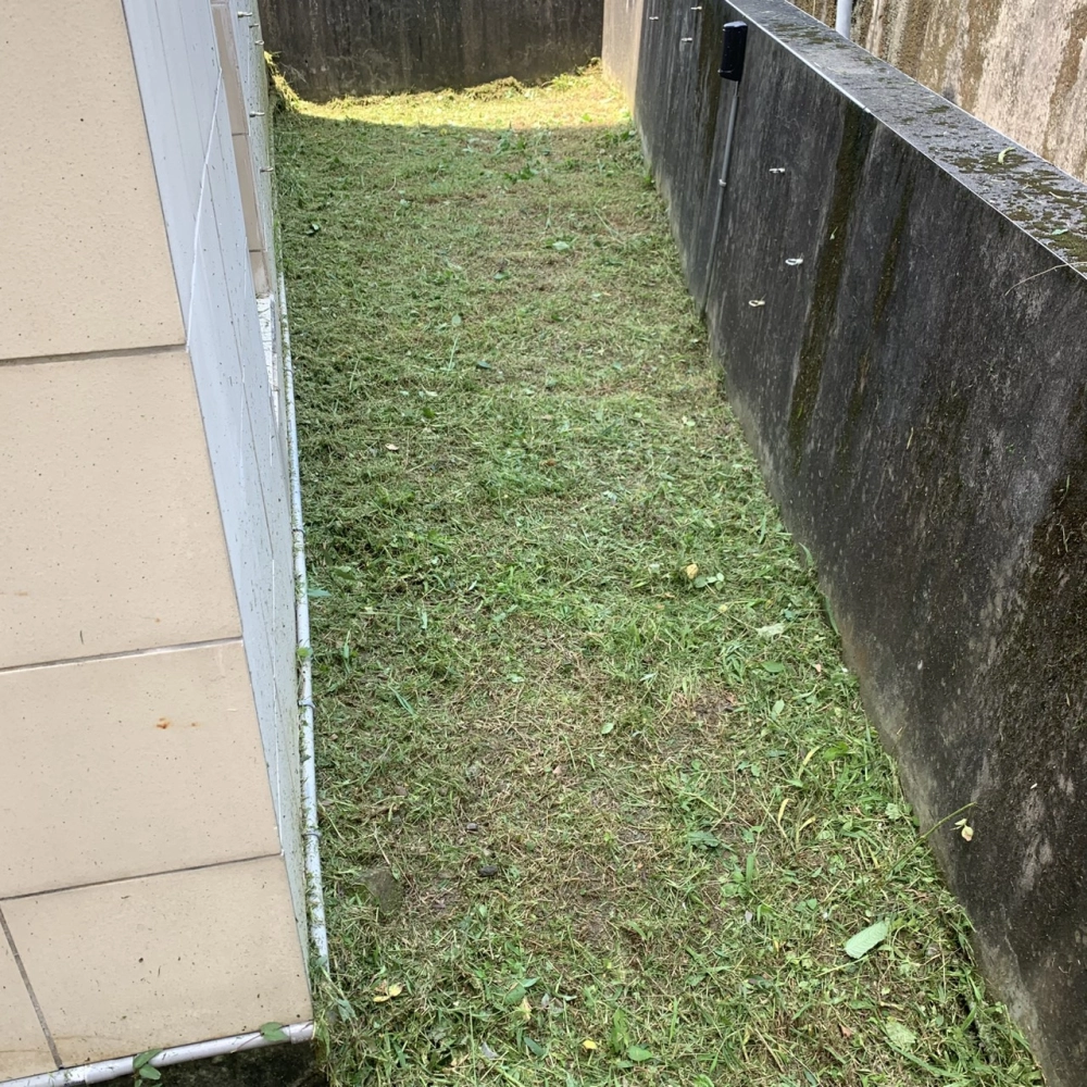 雜草處理 台中市和平區