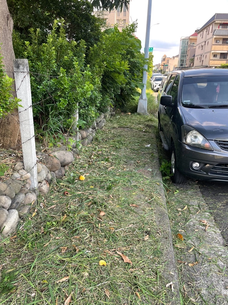 雜草處理 清運 台中市北屯區 文昌東五街38號