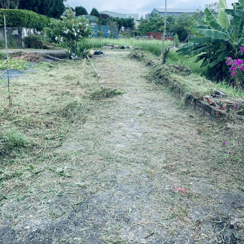 雜草處理 霧峰區四德路667號