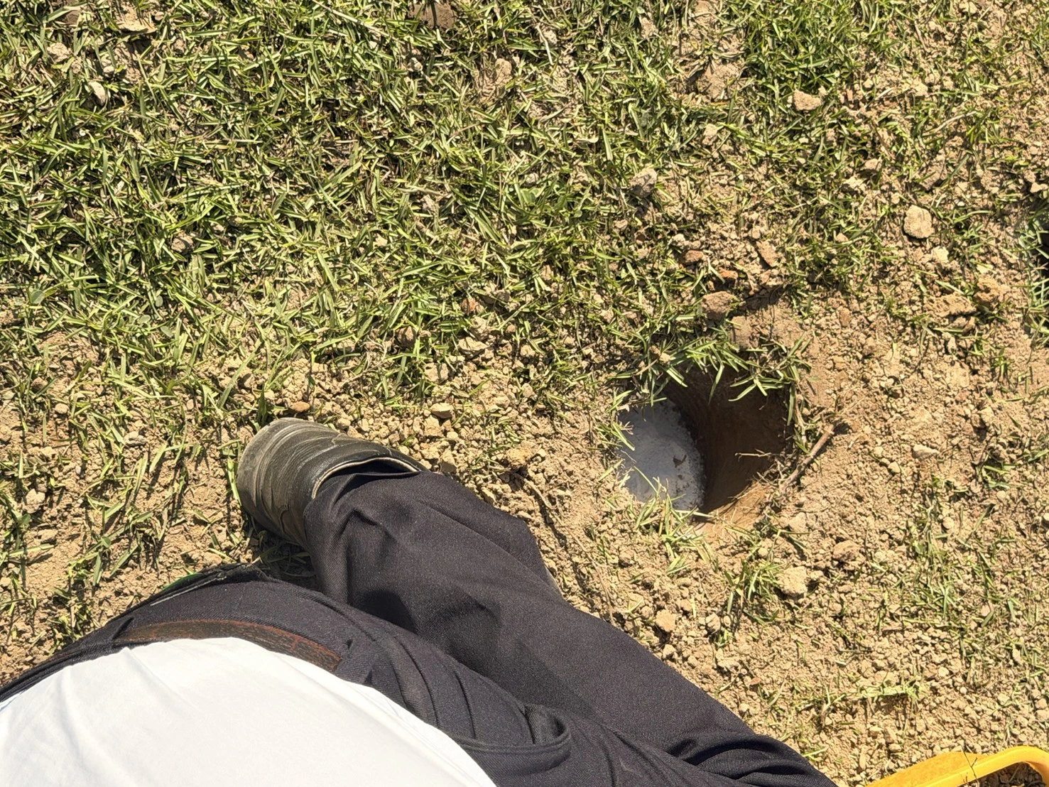 桃園樹葬骨灰安置流程現場紀錄