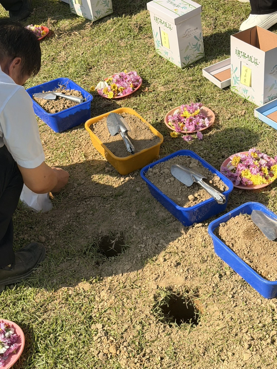桃園樹葬申請與安葬準備流程