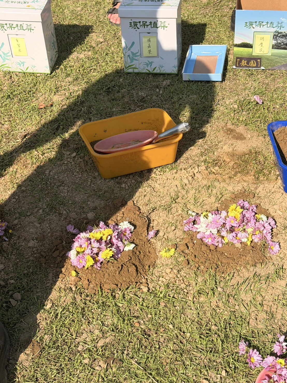 桃園環保葬樹葬完成後鮮花追思