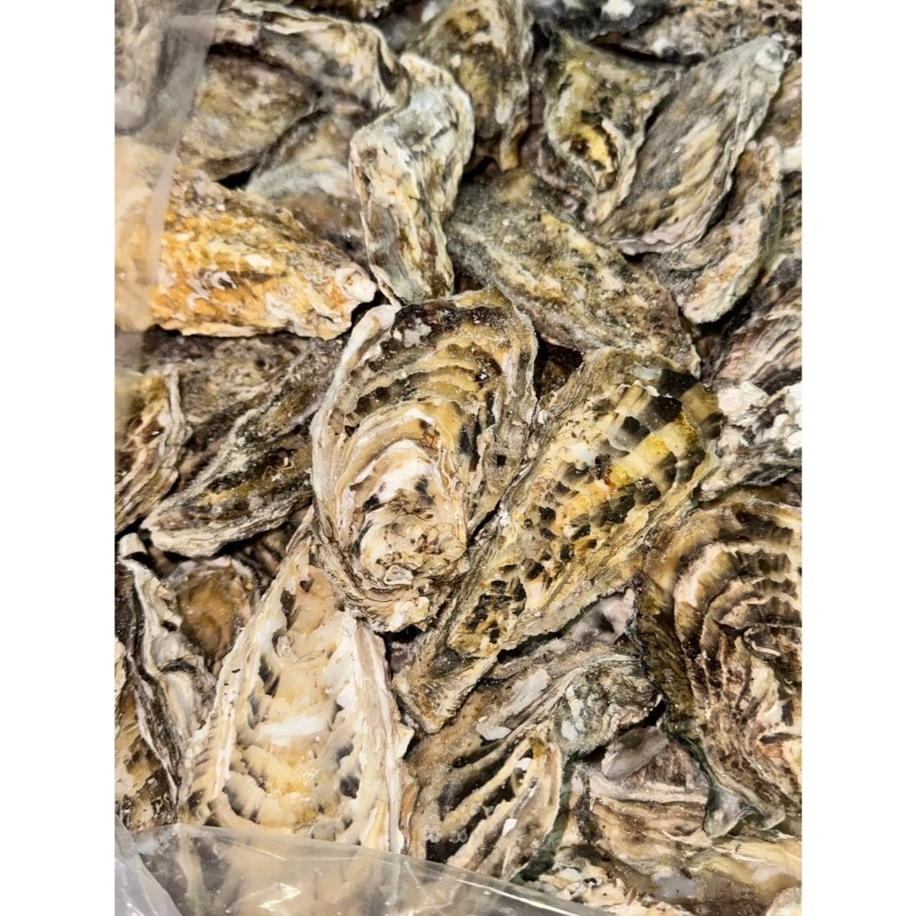非生食生蠔（全殼生蠔)1000克