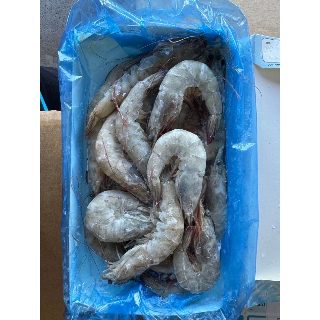 嚴選推薦 30/40 冷凍白蝦