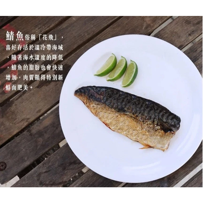 嚴選推薦 挪威鯖魚 90G~110G