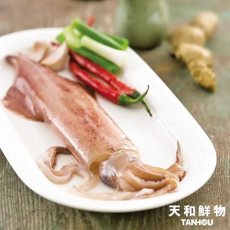 嚴選推薦 天和船凍透抽